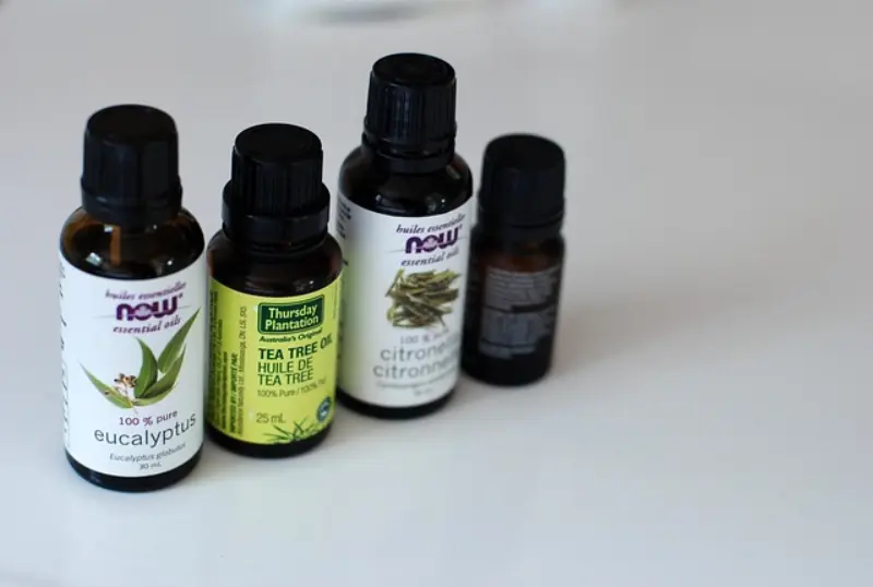 Top 10 Benefits of Tea Tree Oil for Skin and Hair – Complete Guide | ٹی ٹری آئل کے فائدے