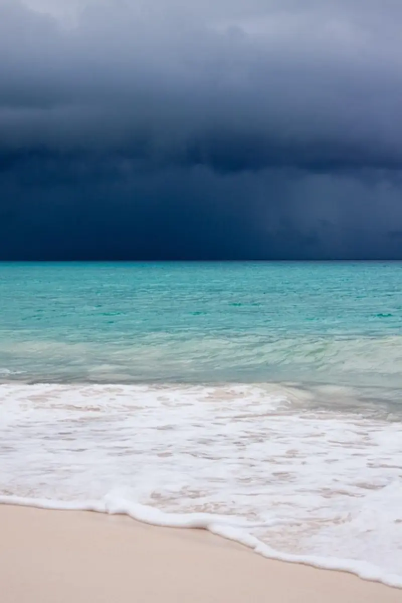 Monsoon Season Health: Herbal Immunity Tips for Pakistan – برسات میں صحت: پاکستان کے لیے ہربل قوت مدافعت کے مشورے |