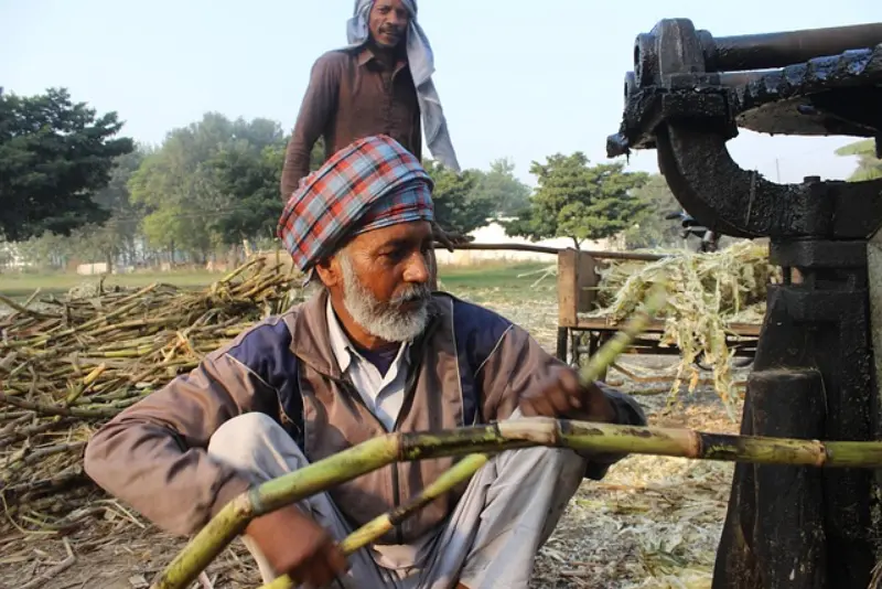 Jaggery vs Sugar – Gur ke Fayde aur Fark | گڑ بمقابلہ چینی – کون بہتر ہے؟