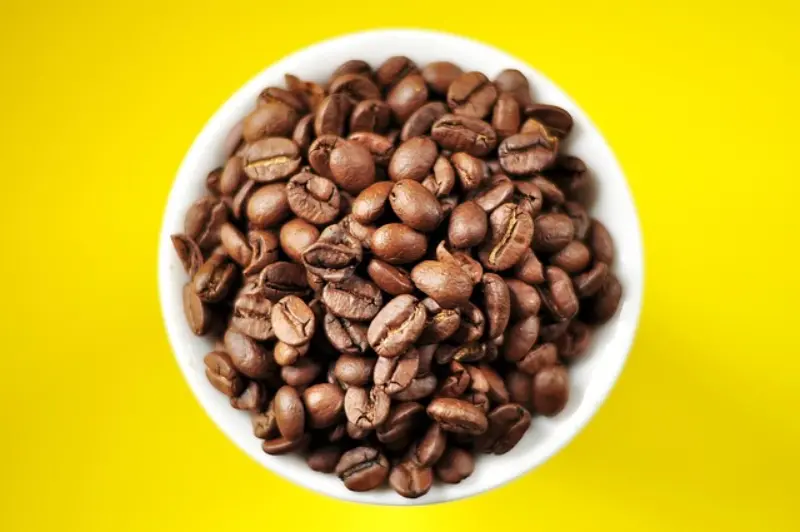 Mix Seeds Benefits – Daily Superfood for Heart & Brain | مکس سیڈز کے فائدے