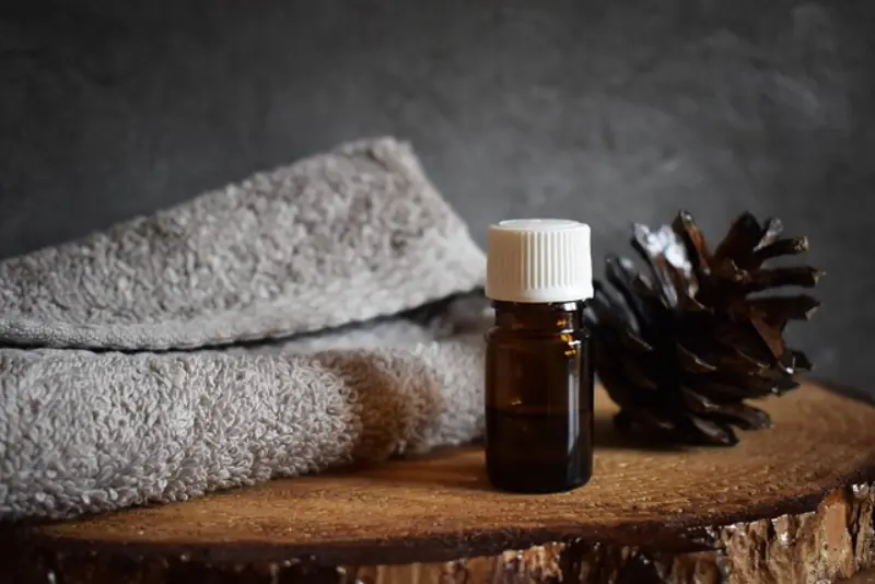 Tea Tree Oil vs Rosemary Oil – Konsa Behtar Hai? | ٹی ٹری بمقابلہ روزمیری