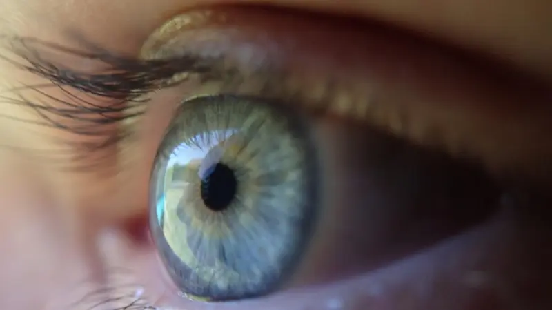 Eye Health: Natural Foods, Vitamins & Herbal Care – آنکھوں کی صحت: قدرتی غذائیں، وٹامنز اور ہربل علاج |
