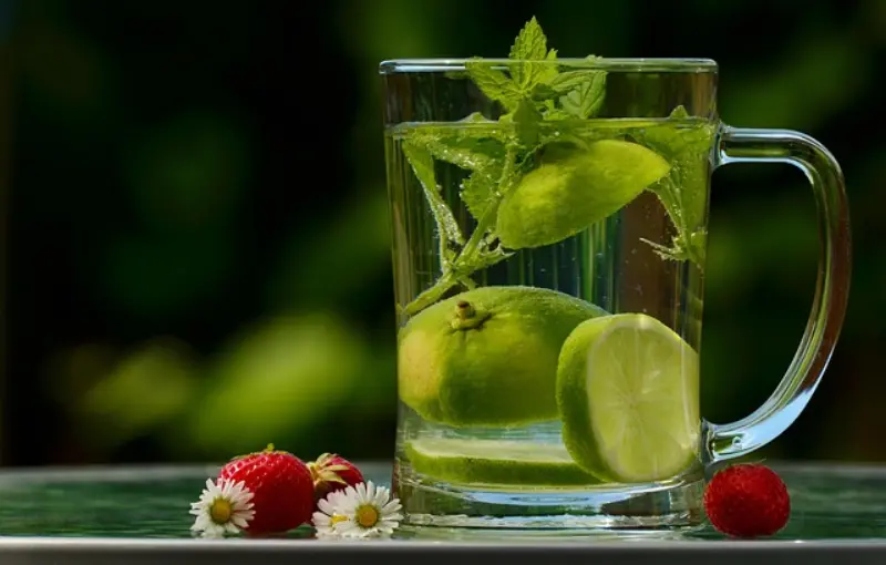 Liver Health Detox Natural Herbal Remedies Pakistan – جگر کی صحت کے لیے قدرتی جڑی بوٹیوں سے علاج | جگر کو ڈیٹاکس کرنے کے قدرتی طریقے
