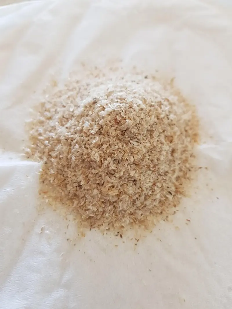Ispaghol Husk Benefits in Pakistan – Digestion, Weight Loss & Cholesterol | اسپغول کے فائدے